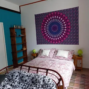 Esőerdő Apartman Apartman